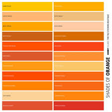 Orange Solid Color Chart L And Stick