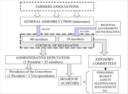 Administrative Organization Of Consortium And Flowchart Of