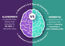 What Is The Difference Between Dementia And Alzheimer S gambar png