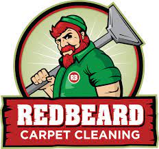 carpet cleaning logo design prolific