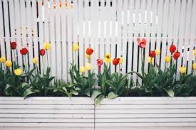 How To Paint Garden Fence Airtasker Uk