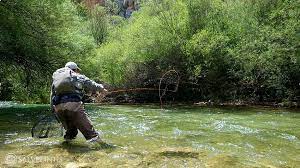 5 orvis fly fishing trout fishing hd