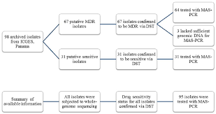 Flow Chart Showing Available Drug Susceptibility Testing
