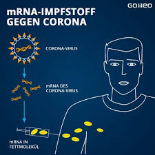 Maybe you would like to learn more about one of these? Nebenwirkungen Corona Impfstoffe Von Biontech Moderna Galileo