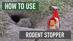 rodent stopper rtu spray repellent diy