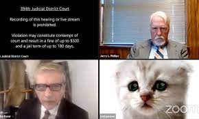 34 hilarious lawyer memes of october 2019. The Joy Of Lawyer Cat Is That It Teaches Us Nothing It S Just Very Funny Imogen West Knights The Guardian