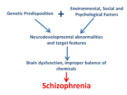File Schizophrenia Flowchart Jpg Wikimedia Commons