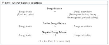 Energy Balance Equation The Key To