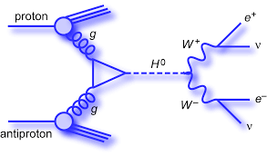 Higgs Boson Particle Diagram Physics Quantum Physics