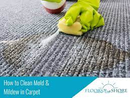 how to clean mold mildew in carpet