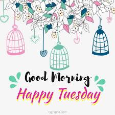 Image result for happy tuesday
