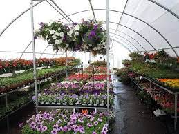 top garden centers greenhouses in des
