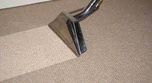 carpet cleaning service inc reviews