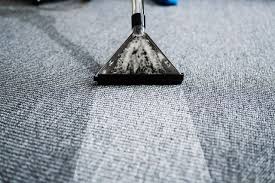 florida commercial carpet cleaning