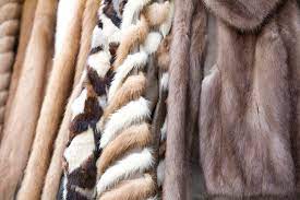 Everything You Need To Know About Fur Coats