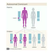 What Are The Different Ways In Which A Genetic Condition Can