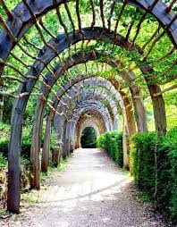 Sigi Koko Garden Arches Landscape