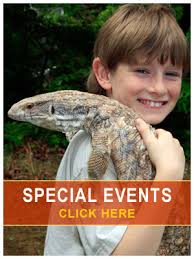 At zazzle, we offer a wide variety of options to choose from such as size, orientation, type and shape. Atlanta Kids Birthday Party Ideas For Boys Girls Myreptileguys