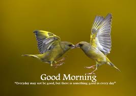 cute good morning images with birds