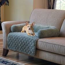 dog couch bed ideas on foter