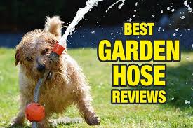 Best Garden Hose Reviews 2023 Ptr