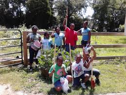barbour county s community gardens