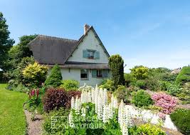 French Country Garden