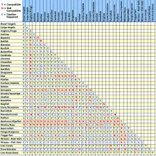 Saltwater Fish Compatibility Chart Surf Fishing Tips
