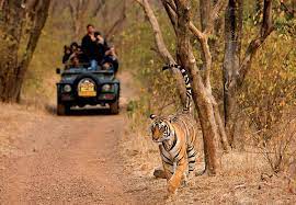10 wildlife sanctuaries in india