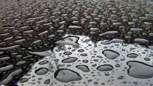 Condensation Rain Raindrops Water Drops Best Widescreen Background