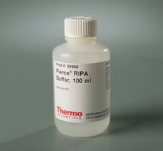 ripa lysis and extraction buffer