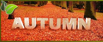 Image result for autumn pictures