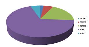 Pie Chart Showing Postoperative Visual Acuity Download