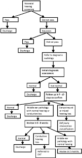 Flowchart For Diagnostic And Review Audiology Download