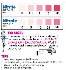 Nitrate And Nitrite Strips