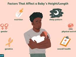 Average Baby Weight And Length During The First Year