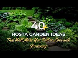 40 Hosta Garden Ideas That Will Make