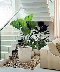 Indoor Garden Ideas In Under The Stairs