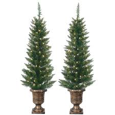 Set Of 2 Lighted Pre Potted 4 Foot Artificial Cedar Topiary Outdoor Indoor Trees Set Of 2 Battery Operated With Timers