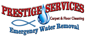 water damage removal carpet cleaning