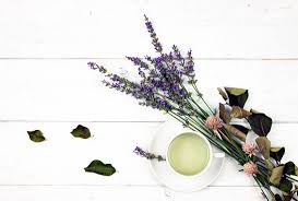 We did not find results for: Lavender Tea Benefits For Health Simple Loose Leaf Tea Company