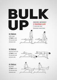 bulk up workout