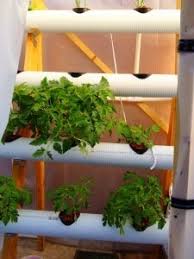 how to build hydroponic system garden