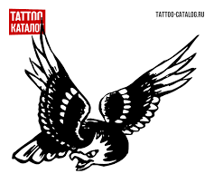     | Tattoo sketch old school eagle