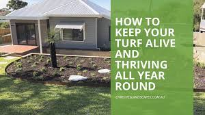 How To Keep Your Turf Alive And