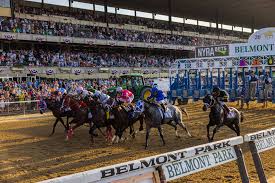 Malathaat to skip belmont stakes, point for saratoga. Ttllvzjuo2 Nnm