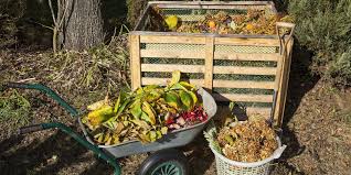 How To Start Composting At Home Plant