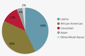 an ilrated pie chart depicting the