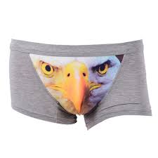 2019 Fashion 3d Wolf Eagle Underwear Men Cotton Boxer Cartoon Panties Ucrotch Animal Print Shorts Calzoncillos Homme S4 From Watchlove 23 88