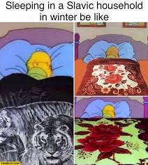 Check spelling or type a new query. Sleeping In A Slavic Household In Winter Be Like Silly Blanket Homer Simpson Starecat Com